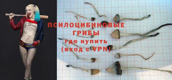 a pvp Алексин