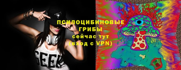 ешки Алзамай